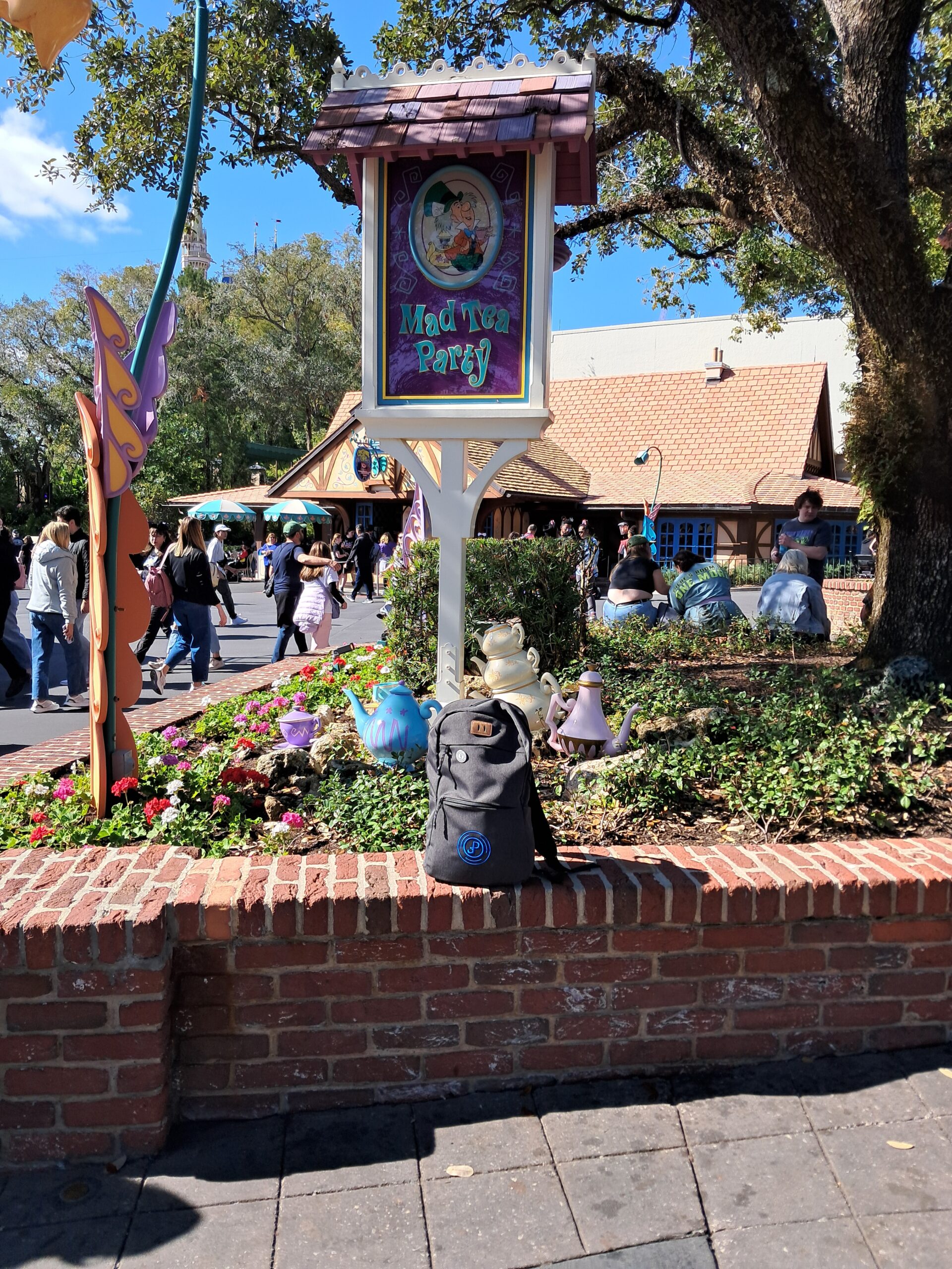 Tea Cups Magic Kingdom